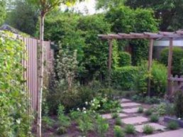 Bij Groei & Bloei Harderwijk e.o.: Workshop Klimaatbestendig beplantingsplan maken