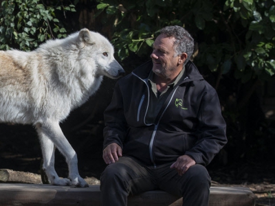 Informatieavond over wolf op de Veluwe