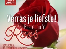 Rozen voor Valentijn