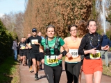 Broekhuis Halve Marathon 2023 
