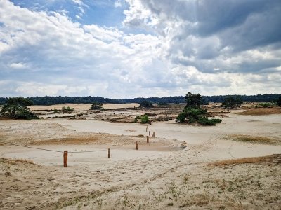 Deel wandel- en fietspaden Hulshorsterzand weer open