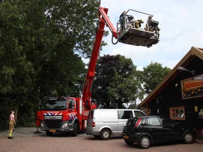 Brandweer helpt blinde kat uit de boom Harderwijkerweg Hulshorst