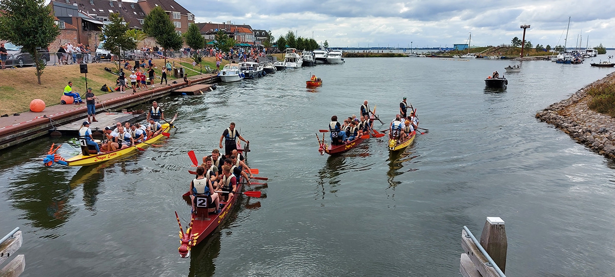 Drakenbootrace Harderwijk: food, fun, muziek en racende draken!