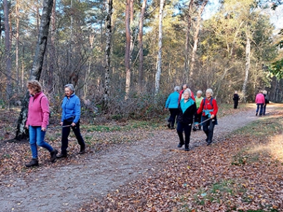 Beginnerscursus Nordic Walking start weer