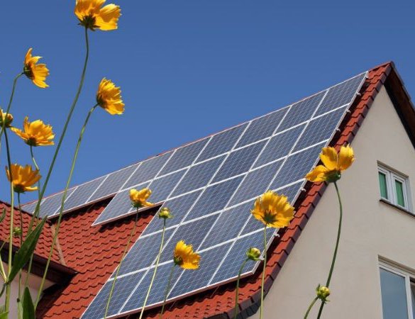 Nieuws de Hypotheker Harderwijk: wat is het ideale dak voor zonnepanelen?