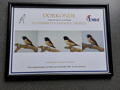 Nederlandse Bond voor Vogelliefhebbers organiseert Nederlands Kampioenschap 2024
