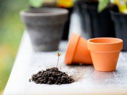 Zeven tips om je tuin optimaal klaar te maken voor de zomer