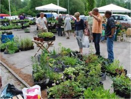 Plantjesmarkt Groei&Bloei