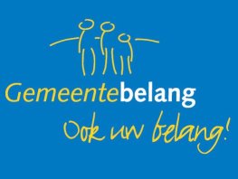 Gemeentebelang vraagt opheldering over traagheid bouwplannen in Hierden
