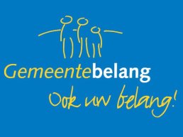 Gemeentebelang vraagt opheldering over traagheid bouwplannen in Hierden