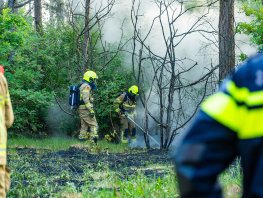 Drie brandhaarden in bos bij Ermelo: vuurwerkpotje aangetroffen