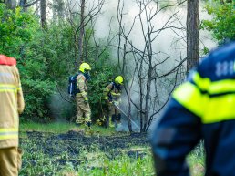 Drie brandhaarden in bos bij Ermelo: vuurwerkpotje aangetroffen