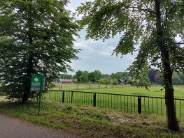 Sein op groen voor drie nieuwe woningen aan Hierdense Wijtgraaf