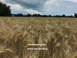 Familieberichten: André van den Berg