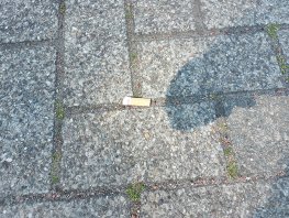 Wie helpt er mee peuken rapen in jouw buurt?