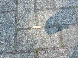 Wie helpt er mee peuken rapen in jouw buurt?