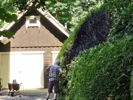 Onkruid branden eindigt in vlammenzee in Hierden