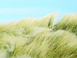 Familieberichten: Gert Binnekamp overleden