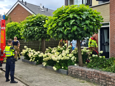 Pannetje met eieren zorgt voor oproep brandweer