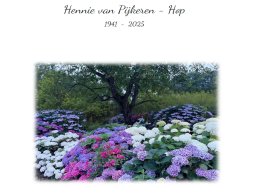Familieberichten: Hennie van Pijkeren - Hop overleden