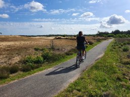 Trap je mee? Ontdek de Veluwe tijdens de Veluwse Fietsdagen op 18, 19 en 20 september 2025!	