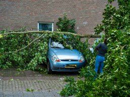Grote tak valt op geparkeerde auto in Harderwijk