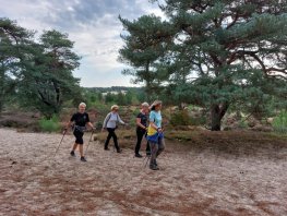 Beginnerscursus Nordic Walking bij Athlos