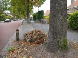 De bladkorven staan er straks weer