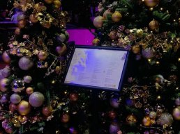 Tweede Kerstdag bij Kok Experience