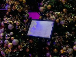 Tweede Kerstdag bij Kok Experience