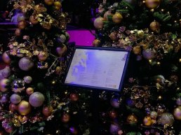 Tweede Kerstdag bij Kok Experience