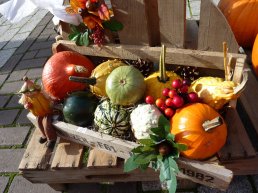 Herfstmarkt in Ermelo brengt sfeer en gezelligheid