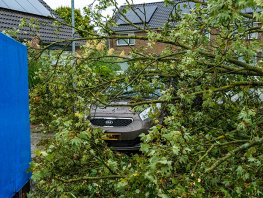 Boom valt op auto in Harderwijk door storm Amy