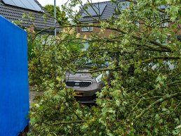 Boom valt op auto in Harderwijk door storm Amy