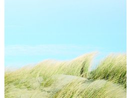 Familieberichten: Gert Timmer