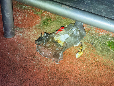 Brand gesticht in speeltoestel in het Crescentpark