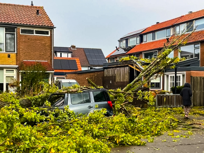 Storm Benjamin richt schade aan in Harderwijk: boom valt op auto
