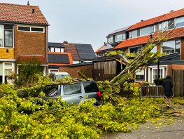 Storm Benjamin richt schade aan in Harderwijk: boom valt op auto