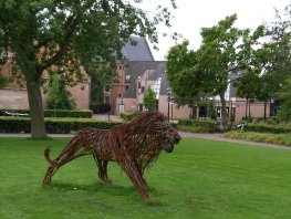 Meer groen in de Binnenstad, kom naar de inloopbijeenkomst en praat mee!