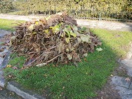Gratis ophalen van grof tuinafval