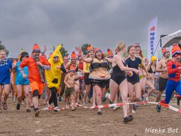 Inschrijvingen geopend voor de Harderwijker Nieuwjaarsduik 2026!