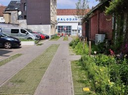 Digitale vermogensplanning: De sleutel tot groei voor ondernemers in Harderwijk