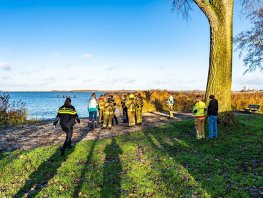 Hond achter vogels aan het water in; eigenaar springt erachteraan bij Zeepad Harderwijk