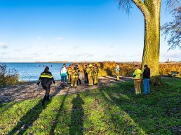 Hond achter vogels aan het water in; eigenaar springt erachteraan bij Zeepad Harderwijk