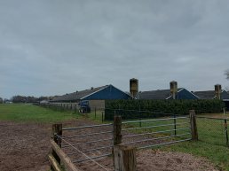 Vogelgriep vastgesteld in Hierden
