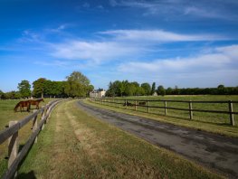 Een woning kopen in Harderwijk: 5 trends