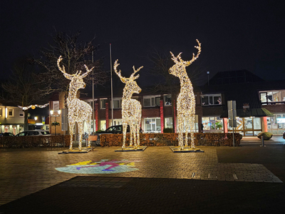 Verlichte Herten sieren de Markt van Nunspeet