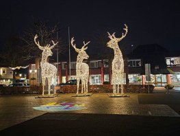 Verlichte Herten sieren de Markt van Nunspeet