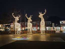 Verlichte Herten sieren de Markt van Nunspeet