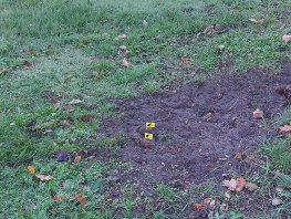 Bewoners vragen aandacht voor hondenpoep rond vijver